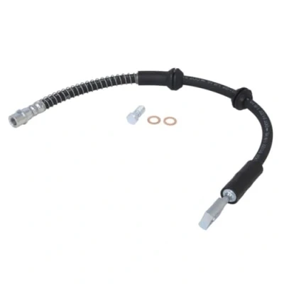 Image de DELPHI LH7906 Flexible De Frein 480mm M10x1 90DF