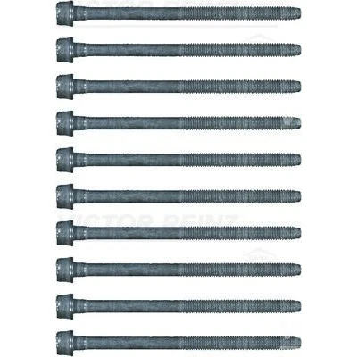 Image de REINZ 14 17428 01 Jeu De Vis Culasse Torx intérieur JEEP: Renegade SUV, Compass, FIAT: Tipo Break, 500X