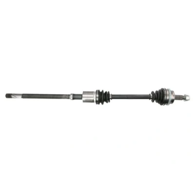 Image de Essieu moteur PASCAL G21019PC