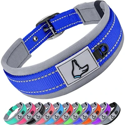 Image de Joytale Collier Chien, Réglable Grands pour Chien Rembourré, Bandes Réfléchissant, Bleu Ciel, XL