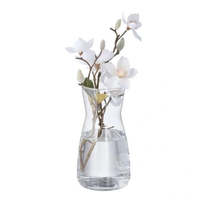Image de Relaxdays Vase décoratif en Verre Clair, pour Vos Fleurs, Dimensions H x D : env. 20 10,5 cm, Transparent