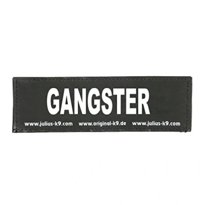 Image de Patches interchangeables Julius K9