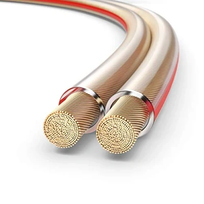 Image de PureLink Sp060 010 Câble d&#039;enceinte 2 x 2,5mm² (99,9% OFC cuivre massif 0,20 mm) de haut parleur Hifi, 10m, tr 01