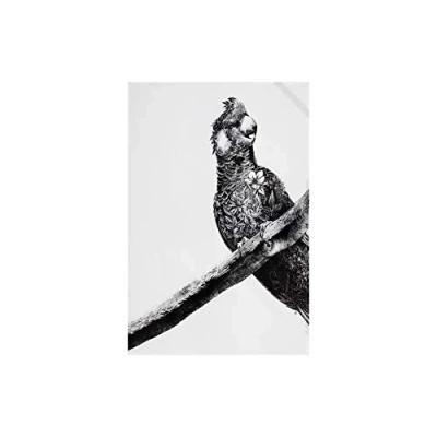 Image de Maxwell &amp; Williams Serviette de Table 100% Coton, Imprimé Fleuri Cacatoès à Rectrices Blanches, Collection Marini Ferlazzo, 50 x 70 cm Noir et Blanc