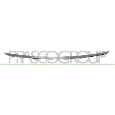 Image de Baguette et bande protectrice, pare chocs PRASCO BM0311245