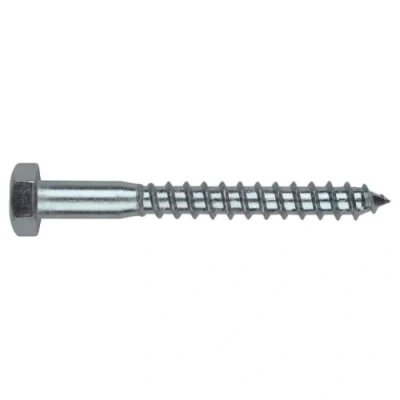 Image de Index TB08070 Vis tirefond DIN 571 8 x 70 mm