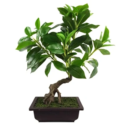 Image de Leaf Arbre Artificiel en matières Mixtes Vert bonsaï 50 cm