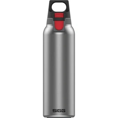 Image de SIGG Gourde Isotherme Thermo Flask Hot &amp; Cold ONE Light Avec Filtre À Fruits Étanche Sans BPA Acier Inoxydable 18/8 0,55L, Brushed