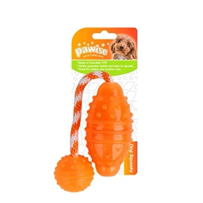 Image de PAWISE Jouet Play &amp; Chew Rugby Ballon