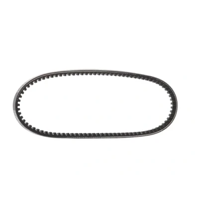 Image de DAYCO 10A0635C Courroie Trapézoïdale 10,0 635,0 CITROËN: GS 3/5 portes, Axel, FIAT: Croma I 5 portes