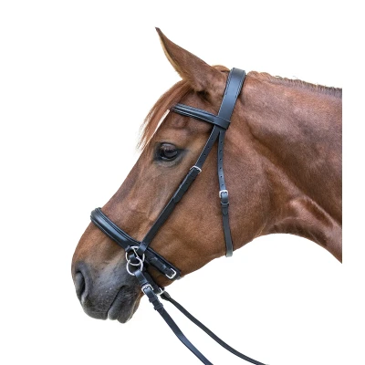 Image de Star Bridon sans Mors Noir Full
