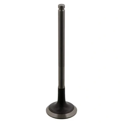 Image de FEBI BILSTEIN 34386 Soupape d&#039;Échappement 29,9 RENAULT: CLIO 2, TWINGO 1, Kangoo I