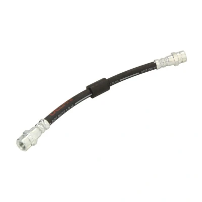Image de DELPHI LH7202 Flexible De Frein 256 M10x1 INT SF VOLKSWAGEN: Touran I