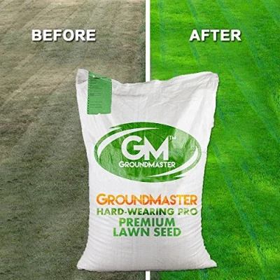 Image de Graines pelouse de qualité supérieure 1KG