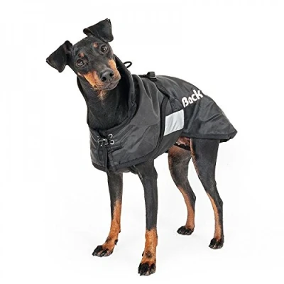 Image de Back on Track Manteau Standard pour Chien Taille Unique