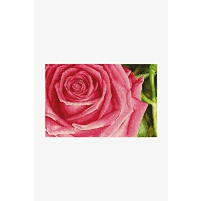 Image de DMC Kit Point de Croix Motif Rose, 100% Coton, Multicolore