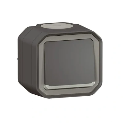 Image de va et vient 10a lumineux anthracite saillie legrand plexo 069736l