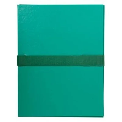 Image de Lot de 10 Chemise à dos extensible balacron, sangle scratch, coloris vert