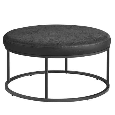 Image de SONGMICS HOME Luiz Collection Banc, Table Basse Ronde, Repose Pieds, Partie Supérieure Réversible, Siège Rembourré, Minimaliste, Cadre en Acier, Capacité 300 kg, Salon, Noir d&#039;encre LOM078B01