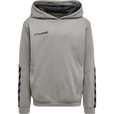 Image de Hummel Authentic Sweat à capuche Grey melange pour enfants, Taille: 176,