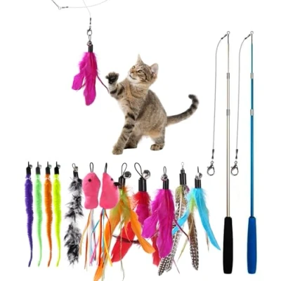 Image de Hixava Jouet à Plumes pour Chats 14 Pièces Chat Peche Canne a Jeu Interactif avec 2 Rétractable 12 de Rechange