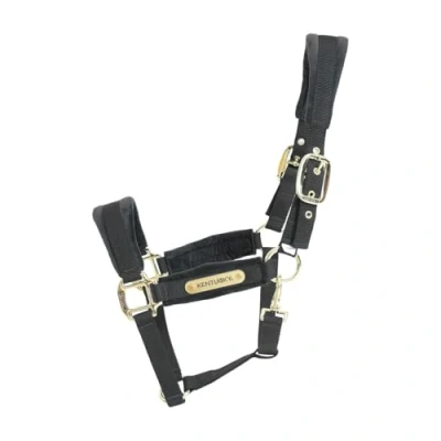 Image de Kentucky Horsewear Licol Velvet Noir