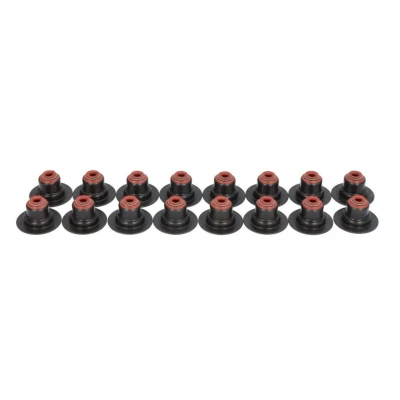 Image de REINZ 12 34406 01 Jeu de joints d&#039;étanchéité, tige soupape RENAULT: CLIO 2, TRAFIC 2 Kasten, MEGANE 3, DACIA: Sandero I, Logan I MCV