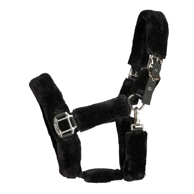 Image de Back on Track Licol Audrey Noir Cob
