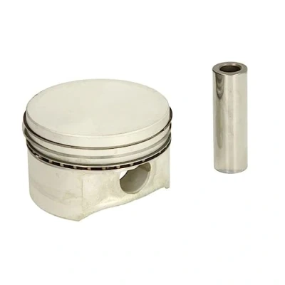Image de KOLBENSCHMIDT 40219600 Piston 69 RENAULT: Modus / Grand Modus, Clio 2, 4
