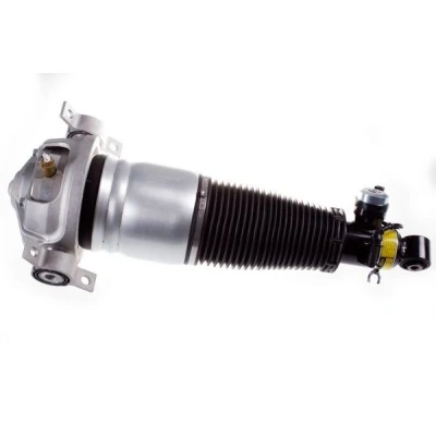Image de Vérin DENCKERMANN DSA016G