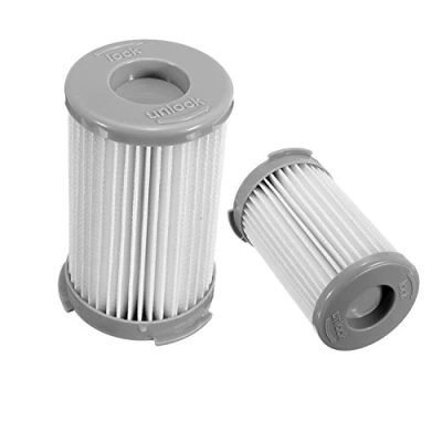Image de REYEE Lot de 2?Filtre HEPA pour aspirateurs Electrolux (Compare au Aspirateur, F120?(9001966051), Aef75b)