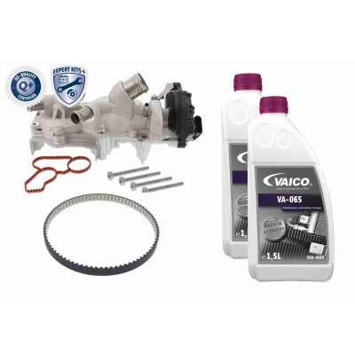 Image de Pompe à eau + kit de courroie distribution VAICO V10 50114 XXL