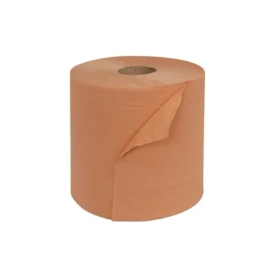 Image de Bobine essuyage industriel 1000 formats 2 plis Chamois 23,5x30cm Ouate recyclée Lot de