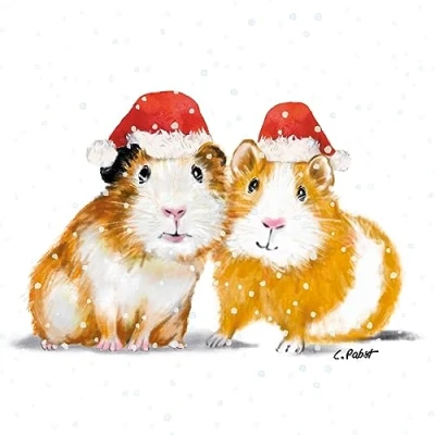 Image de Lot de 20 serviettes table en papier Motif hamster avec bonnet Noël 33 x cm