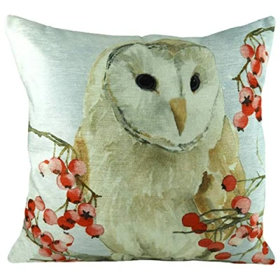 Image de Evans Lichfield Housse de Coussin Motif hiboux Noël Multicolore 43 x cm