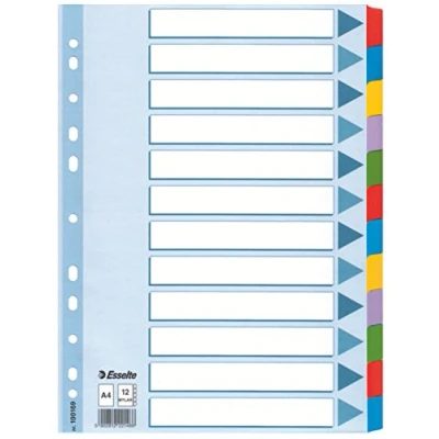 Image de Esselte Intercalaires A4 12 Touches, Bleu/Multicolore, Carton Résistant Recyclé, Onglets avec Table des Matières, 100169