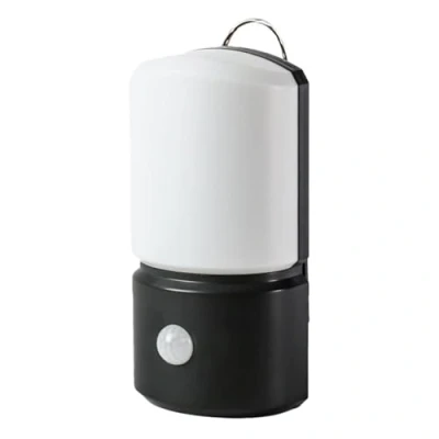 Image de Festive Lights Lampe de Sécurité à LED Blanche avec Détecteur Mouvements Piles Extérieur ou Intérieur Suspension Fixation Murale Waterproof