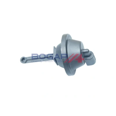 Image de BOGAP A6313102 Papillon de distribution, alimentation d&#039;air