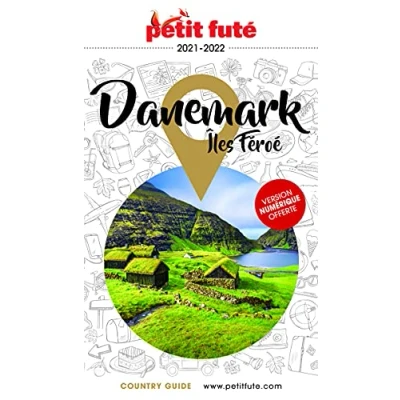 Image de Guide Danemark 2021 Petit Futé Livre d’occasion Bon