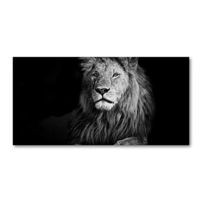 Image de Tulup Dosseret en Verre 140x70 Crédence de Cuisine Plan Travail Fond hotte sécurité trempé Murale Splash Back Guard Animaux Lion Noir et Blanc