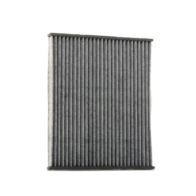 Image de VALEO CLIMFILTER PROTECT 715553 Filtre d&#039;habitacle à charbon actif 215 265 21 FIAT: Punto III 3/5 portes, Grande portes