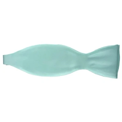 Image de TigerTie satin soi même nouer N ud papillon en helles mint vert unicolor + boîte