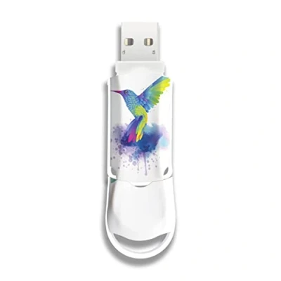 Image de Integral 128GB Colibri Xpression USB 3.2 Gen 1 Clé sont conçues avec Style Stockage idéal et Sauvegarde pour Les études, Le Travail comme Un Cadeau Original inhabituel