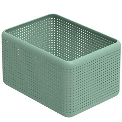 Image de Rotho Madei Boîte de rangement 13l, Plastique (PP) sans BPA, vert, 13l (32.6 x 23.8 18.8 cm)
