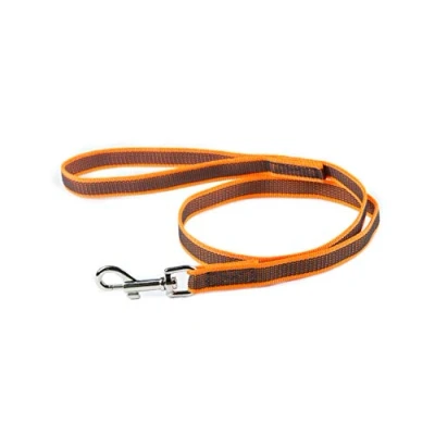 Image de JULIUS K 9 Correa IDC Color and Gray, Orange Gris, 20 mm x 1 m