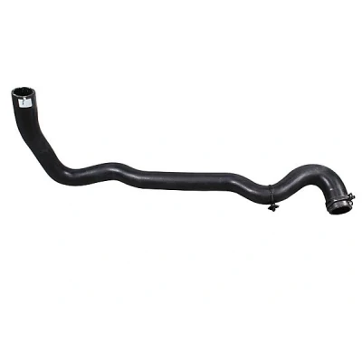 Image de METZGER 2421517 Durite De Refroidissement Radiateur moteur, gauche inférieur EPDM (éthylène propylène diène caoutchouc) DACIA: Duster SUV