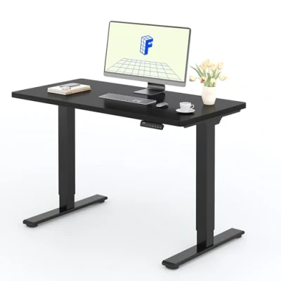 Image de FLEXISPOT Bureau Assis Debout, 120x60 Une Pièce, 2 Moteurs Puissants, Réglable en Hauteur, Debout Électrique avec Fonction Mémoire, Plateau Noir+Cadre Noir