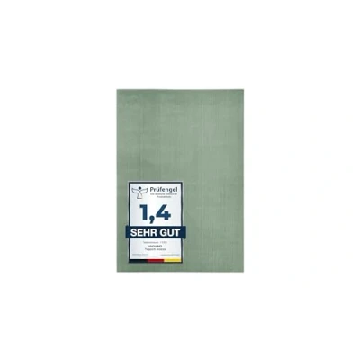 Image de andiamo Tapis Arezzo Lavable pour Salon, Salle à Manger, Facile d&#039;entretien, élégant et Confortable, de en Fourrure, uni, 120 x 170 cm, Vert Sauge