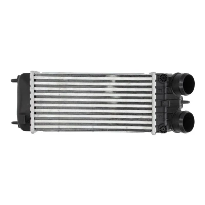 Image de NRF 30473 Intercooler PEUGEOT: 207 3/5 portes, CC, SW