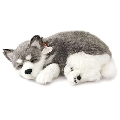 Image de Perfect Petzzz Chien Alaskan Husky Qui Respire the Breathing Puppy